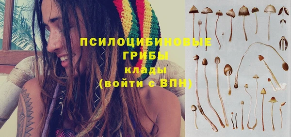 первитин Балахна