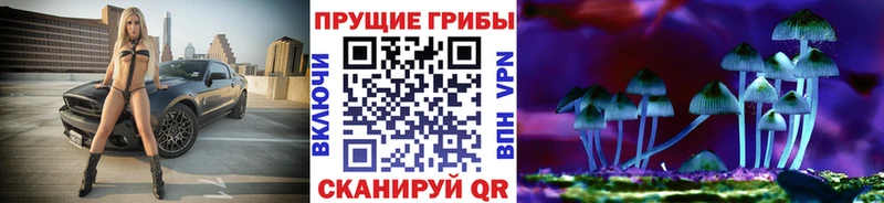Псилоцибиновые грибы мицелий  Ленинск 