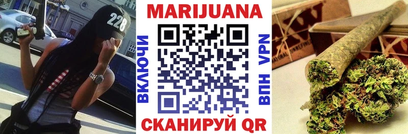 Конопля сатива  ссылка на мегу рабочий сайт  Ленинск 